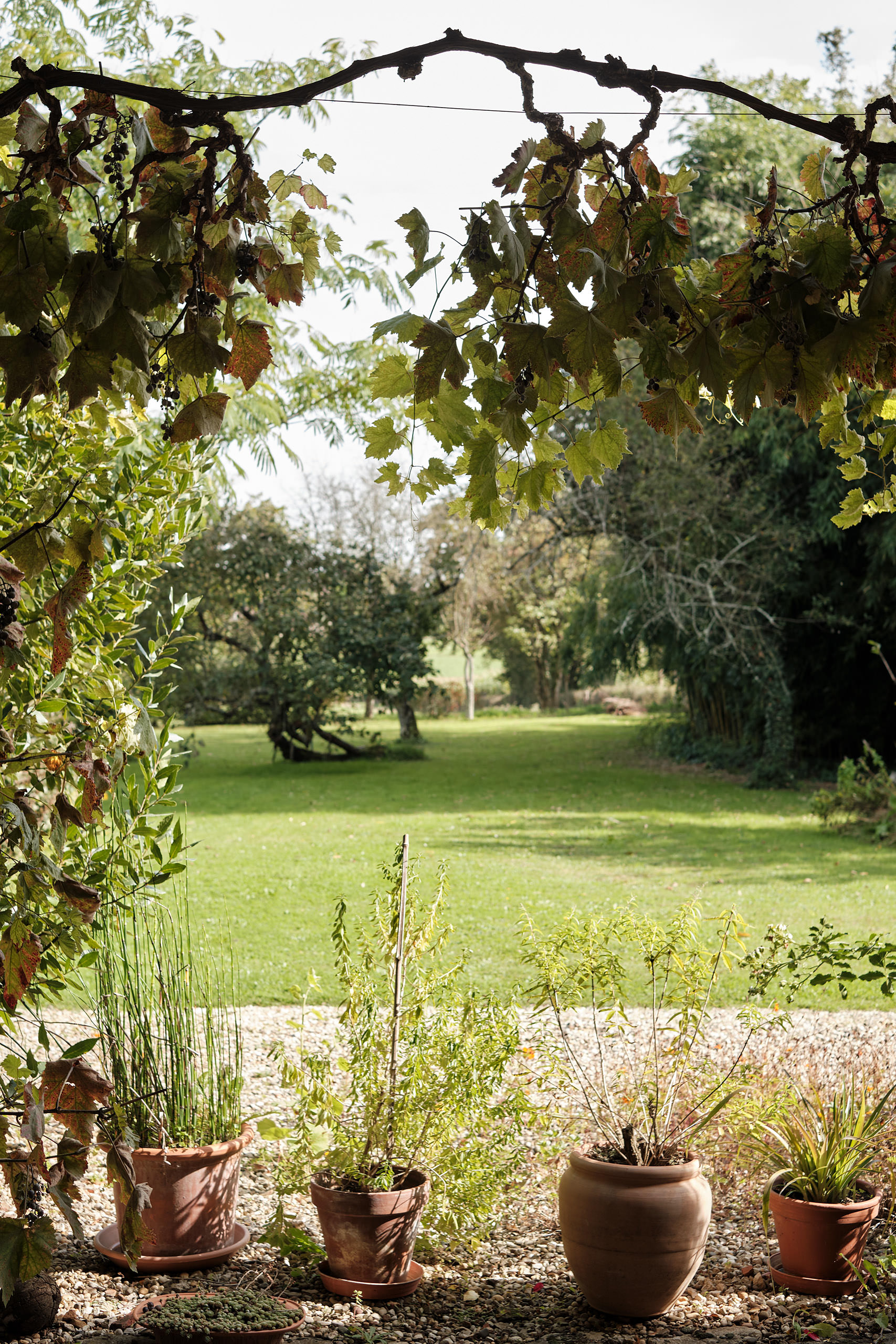 Haus Senn, La Chapelle-Thècle